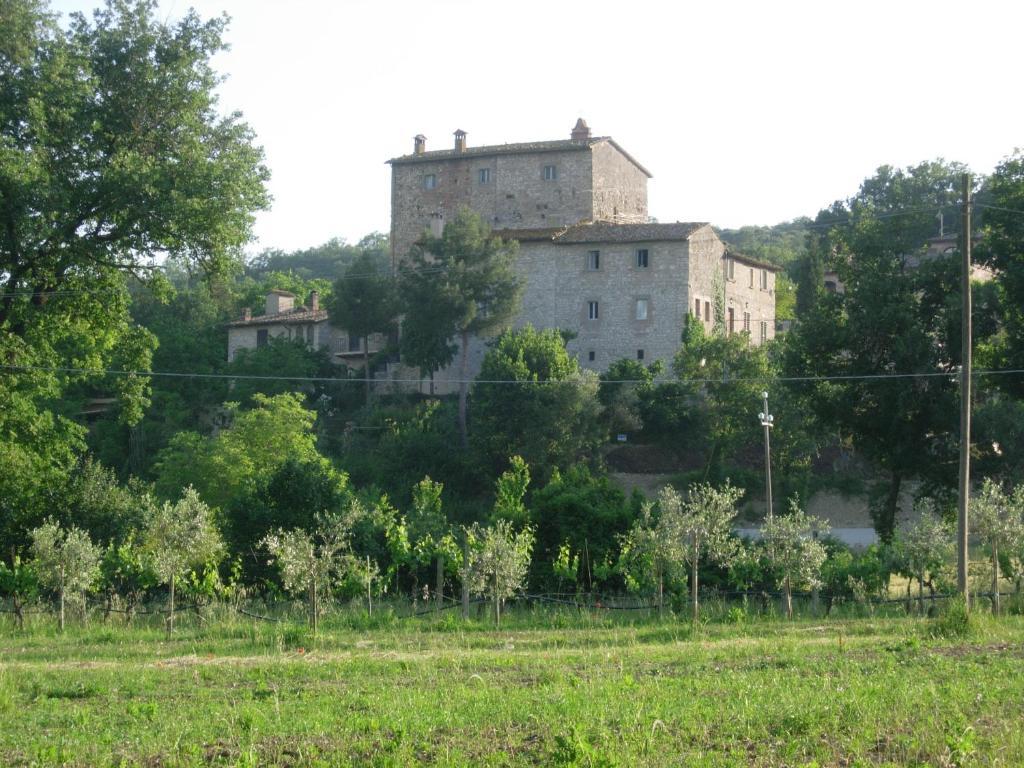 Gli Appartamenti Di Torre Bertona 토티 객실 사진